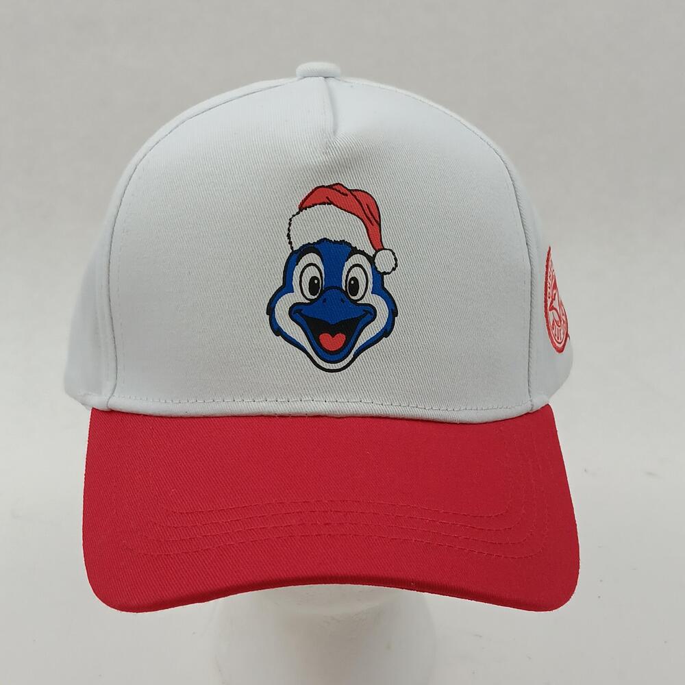Dunedin Blue Jays Hat Cap Snap Back Mens One Size White MILB Baseball Christmas